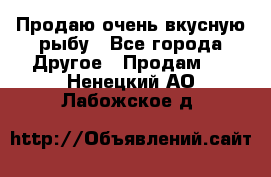 Продаю очень вкусную рыбу - Все города Другое » Продам   . Ненецкий АО,Лабожское д.